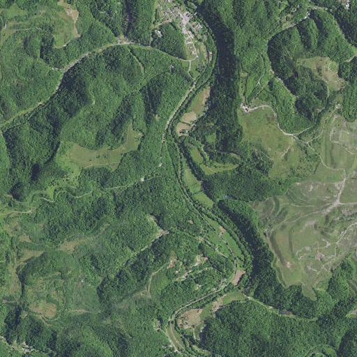 Aerial imagery of Oldhouse Branch, KY