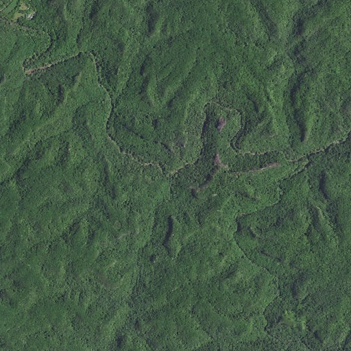 Aerial imagery of Parched Corn Creek, KY
