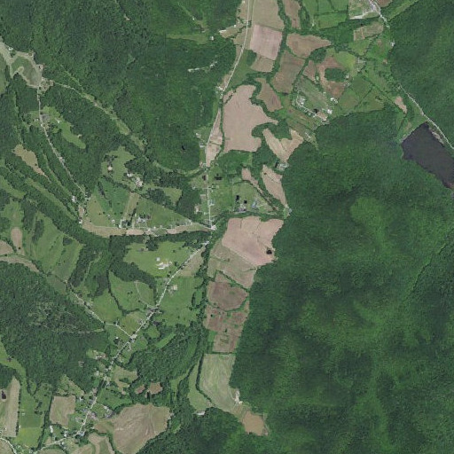 Aerial imagery of Pendleton Branch, KY