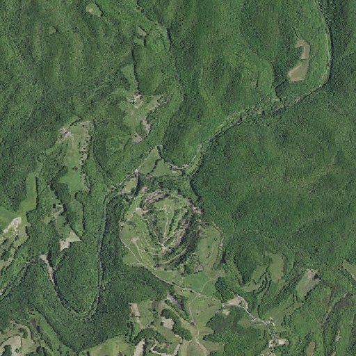 Aerial imagery of Peter Cave Branch, KY