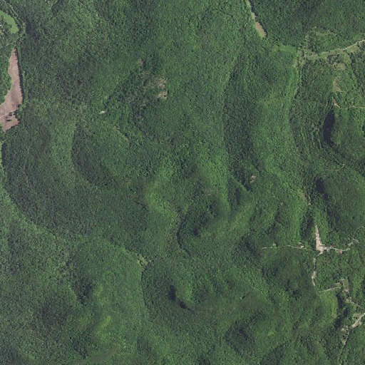 Aerial imagery of Peter Gap, KY