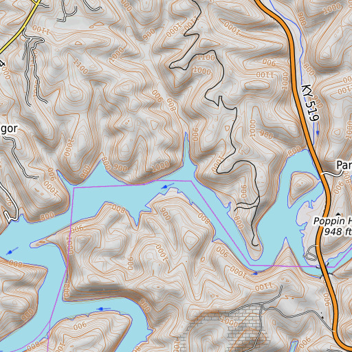OpenTopoMap map of Pickett Branch, KY