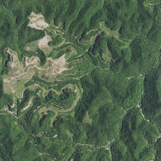 Aerial imagery of Pig Pen Fork, KY