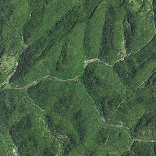 Aerial imagery of Pigeon Fork, KY