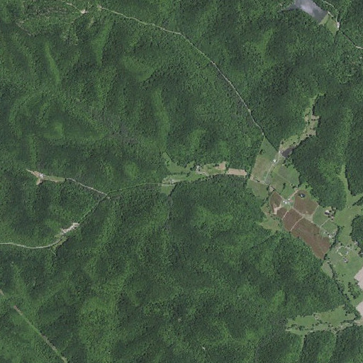 Aerial imagery of Plank Branch, KY