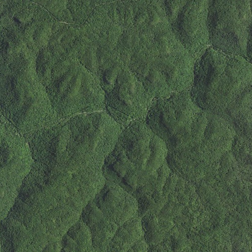 Aerial imagery of Puncheoncamp Branch, KY