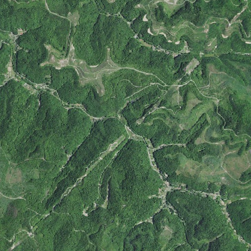 Aerial imagery of Riley Branch, KY