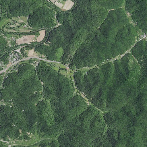 Aerial imagery of Sally Lee Branch, KY