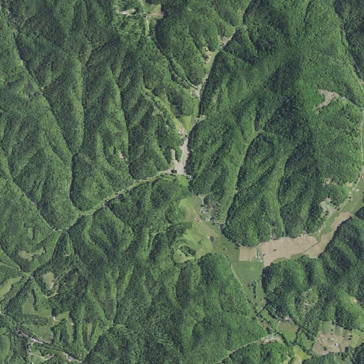 Aerial imagery of Sasser Branch, KY