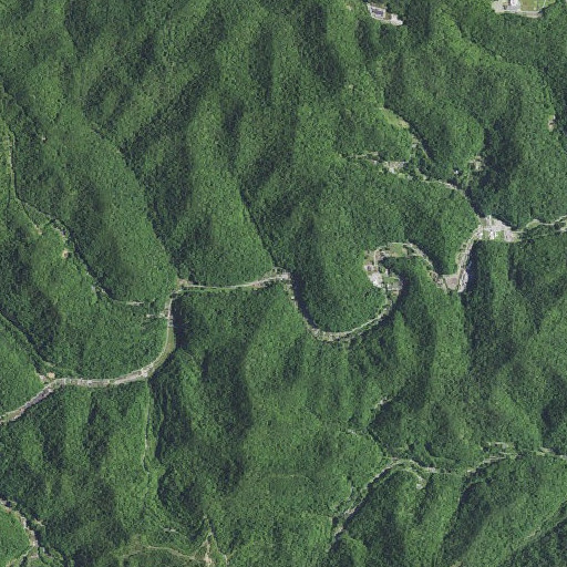 Aerial imagery of Shack Branch, KY