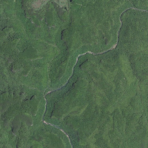 Aerial imagery of Shop Branch, KY