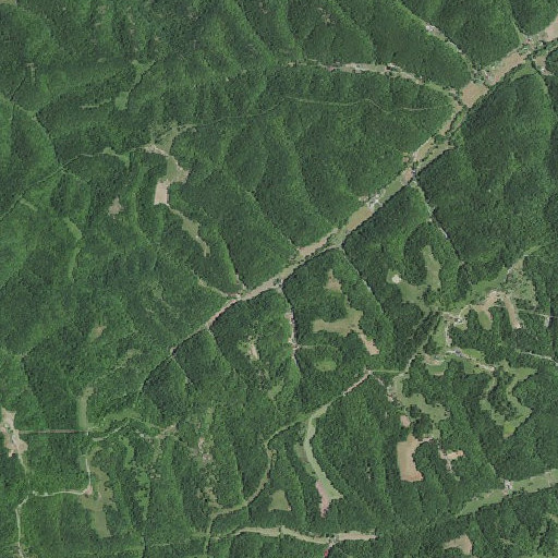 Aerial imagery of Stevens Branch, KY