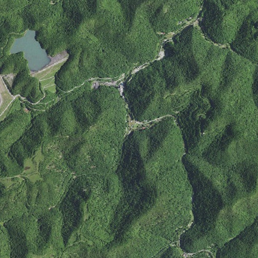Aerial imagery of Trace Branch, KY