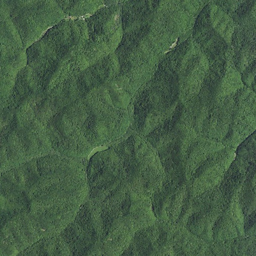 Aerial imagery of Trace Branch, KY