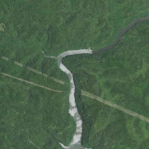 Aerial imagery of Tweed Branch, KY