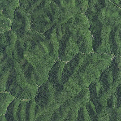 Aerial imagery of Twin Branch, KY