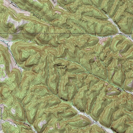 USGS 24K topo map of Washman Lookout, KY