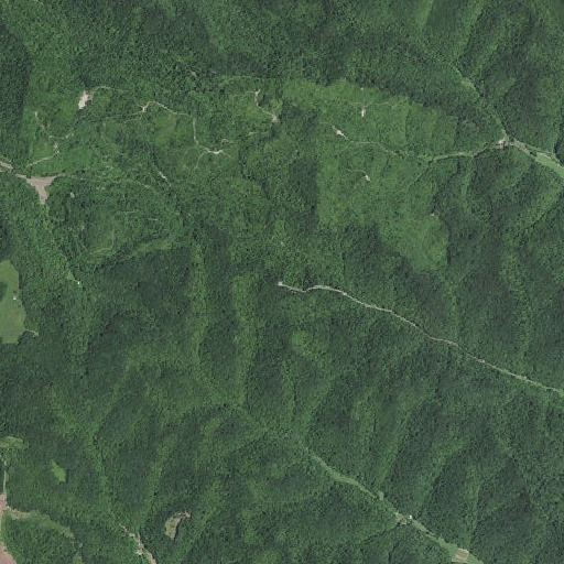 Aerial imagery of Washman Lookout, KY