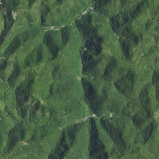 Aerial imagery of Whitehead Branch, KY