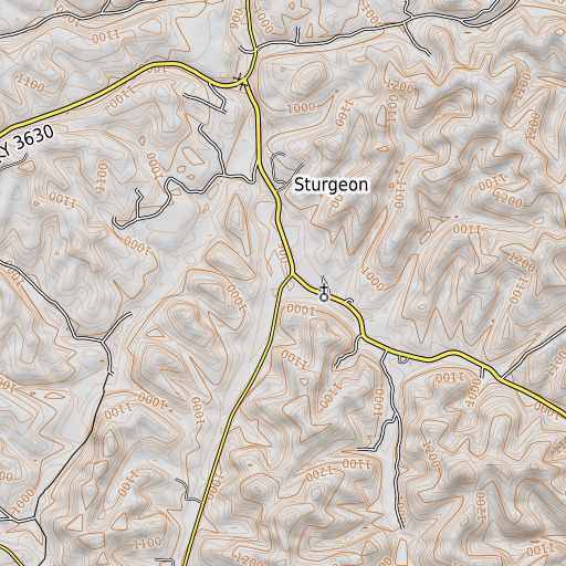 OpenTopoMap map of Wilson Fork, KY