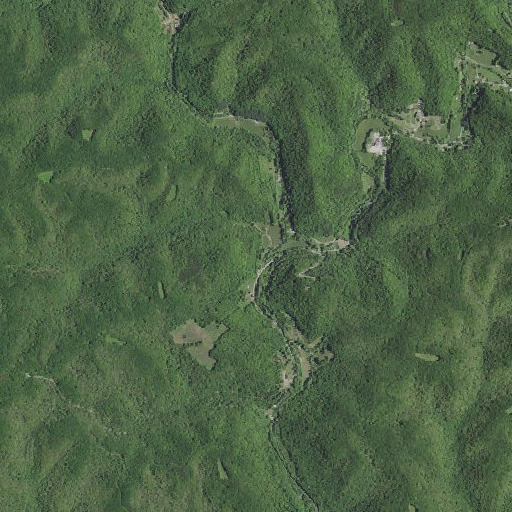 Aerial imagery of Old Field Branch, KY