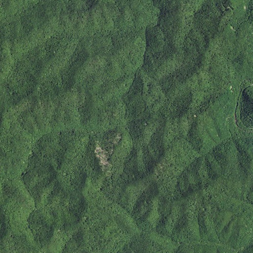 Aerial imagery of Joe Branch, KY