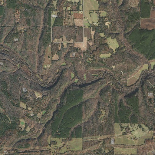 Aerial imagery of Mill Branch, AR