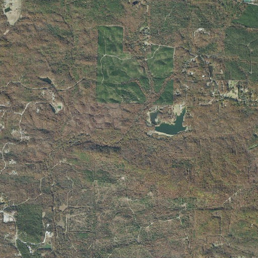 Aerial imagery of Moore Branch, AR