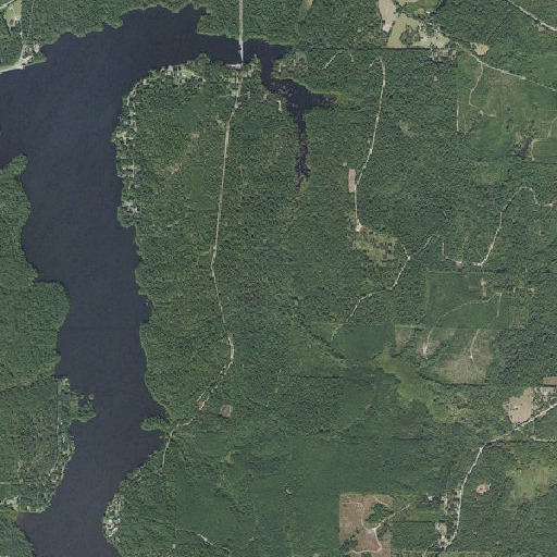 Aerial imagery of Panther Branch, AR
