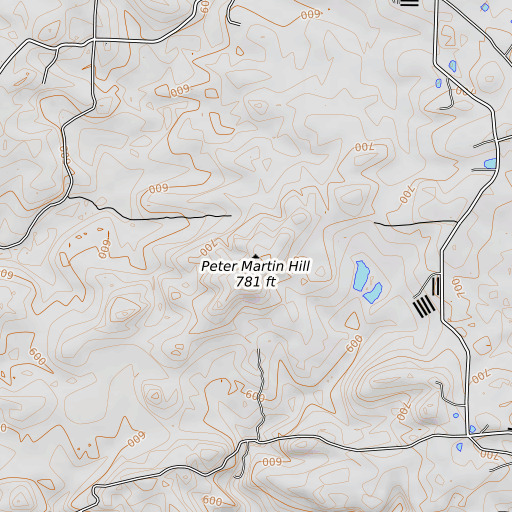 OpenTopoMap map of Peter Martin Hill, AR
