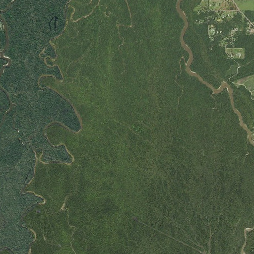 Aerial imagery of Cross Bayou, LA