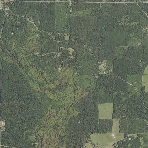Aerial imagery of Gray Branch, LA