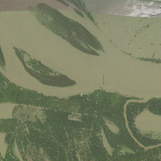 Aerial imagery of Hog Point, LA