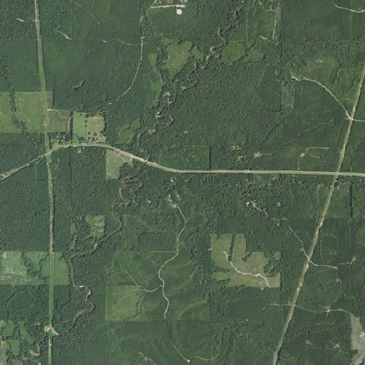 Aerial imagery of Mill Creek, LA