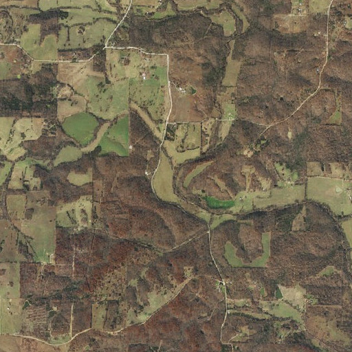 Aerial imagery of Raney Branch, AR