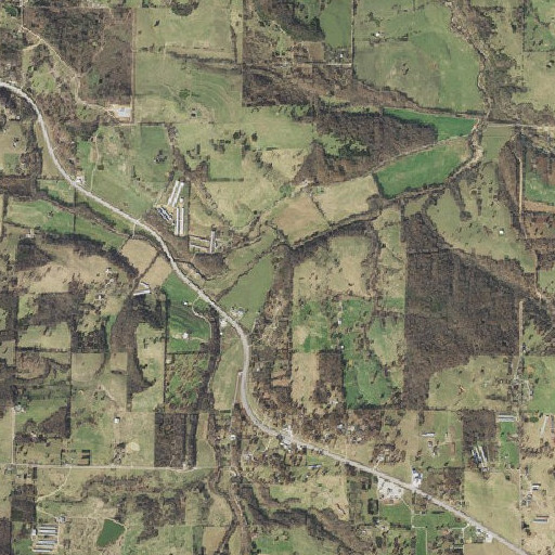 Aerial imagery of Reves Spring, AR