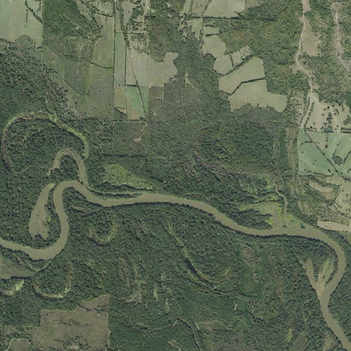 Aerial imagery of Sand Slough, AR