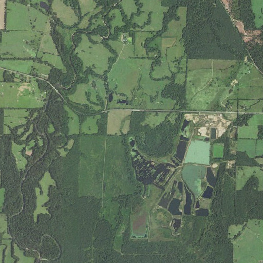 Aerial imagery of Sandy Slough, AR