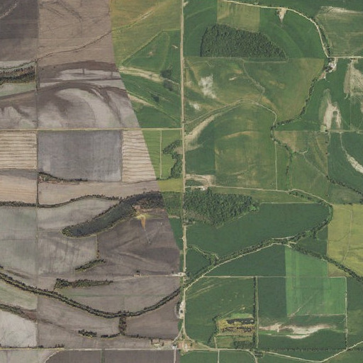 Aerial imagery of Snowden School, AR