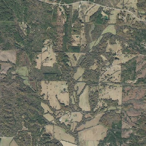 Aerial imagery of Walnut Branch, AR