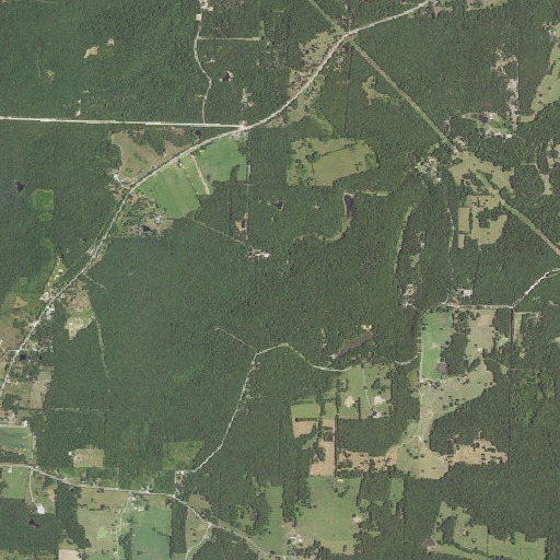 Aerial imagery of Wayland Spring, AR