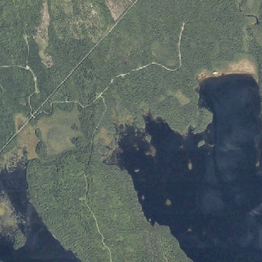 Aerial imagery of Bear Brook, ME