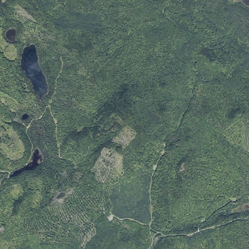 Aerial imagery of Bear Mountain, ME