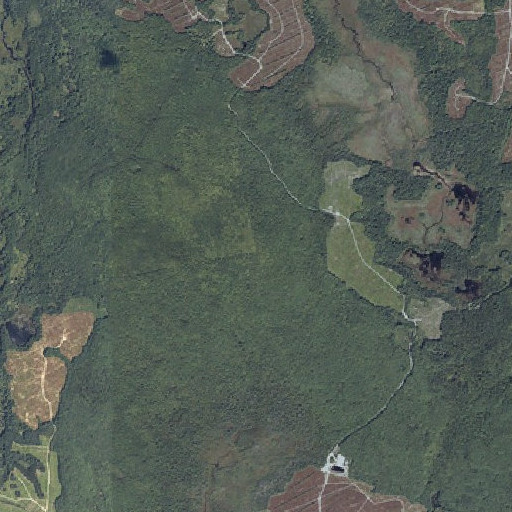 Aerial imagery of Beech Hill, ME