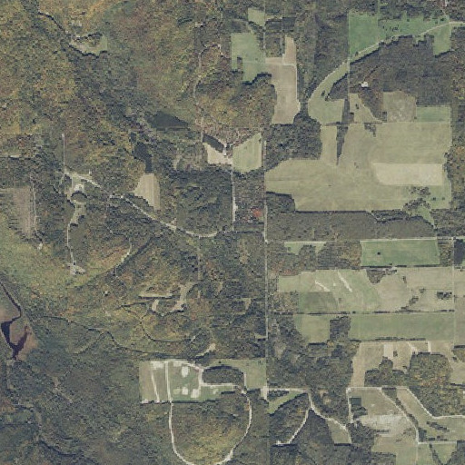 Aerial imagery of Belanger Settlement, ME