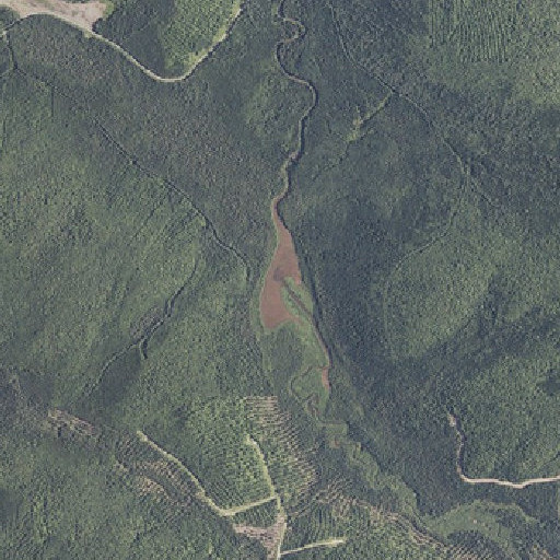 Aerial imagery of Big Brook Lake, ME