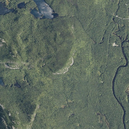 Aerial imagery of Billfish Mountain, ME
