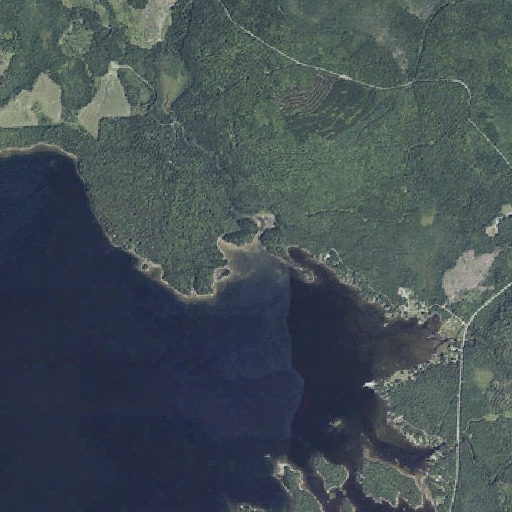 Aerial imagery of Burgess Brook, ME