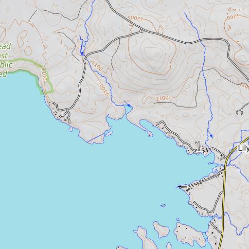 OpenTopoMap map of Burgess Brook, ME
