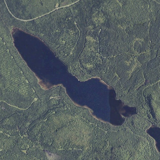 Aerial imagery of Chase Brook, ME